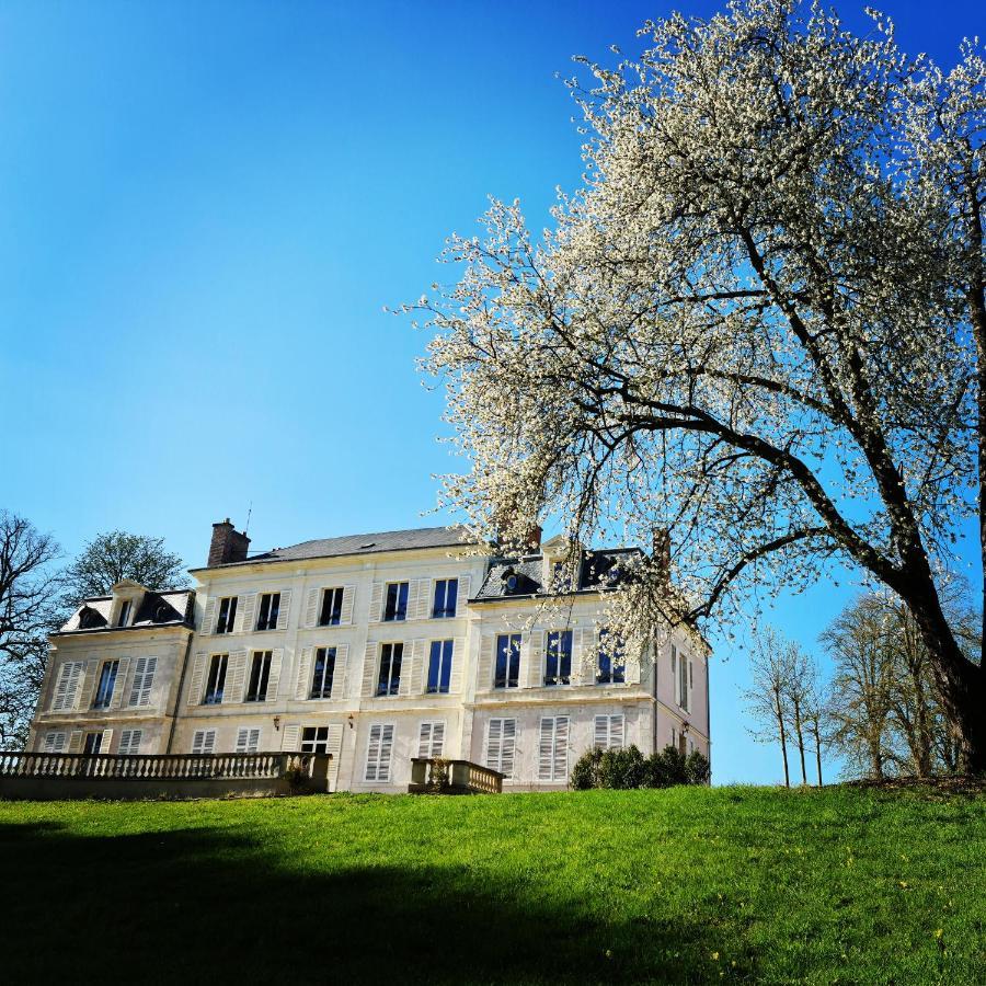 Château du Rollin Orléans Ouest- La Chapelle St Mesmin Exterior foto